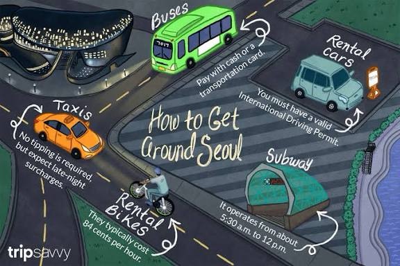 How to Use Korean Subway & Transportation (2025 Guide: T-money, Naver Map &&nbsp;KakaoMap)