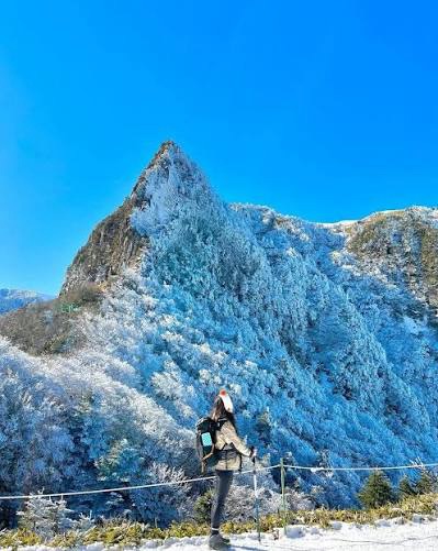 Where to Stay in Jeju Winter 2025: Top 3 Hotels for Hikers &&nbsp;Sightseers